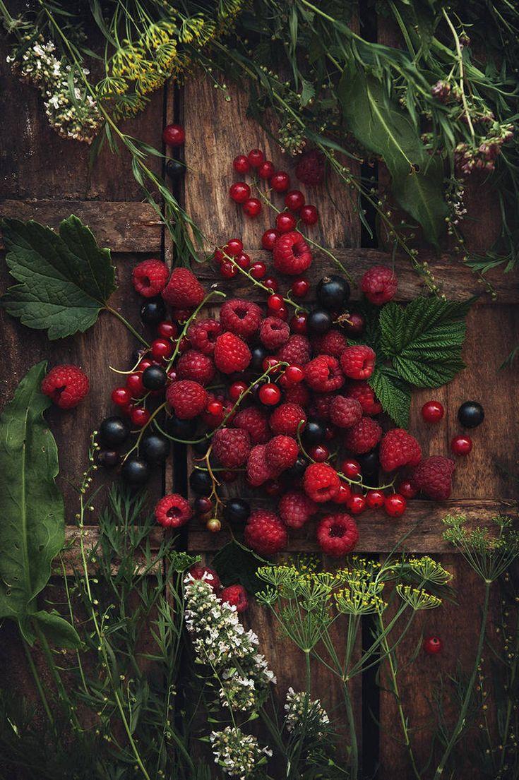 Berry Bounty: Hand-Picked Farm Freshness