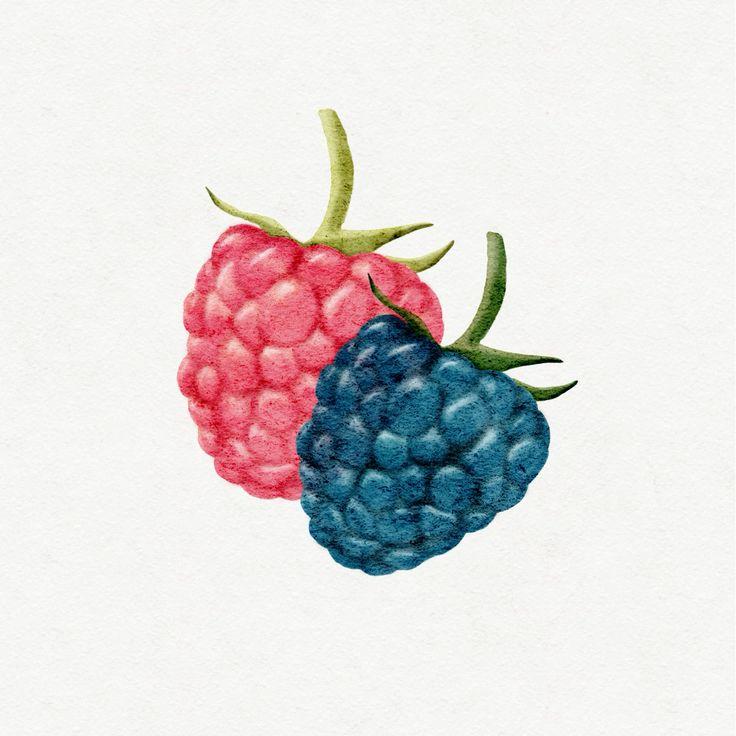Country Berry Patch: Wholesome Harvest Medley